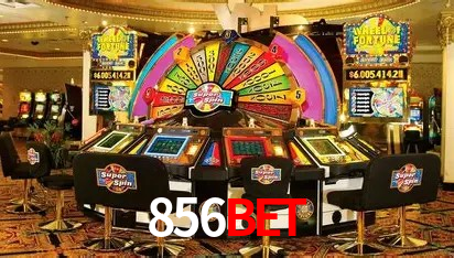 Design Responsivo 856bet