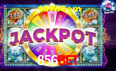 856bet - User Statistics