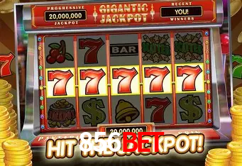 856bet Plataforma - Certificada MGA desde 2015