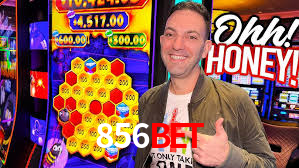 856bet