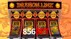 Premium Interface 856bet