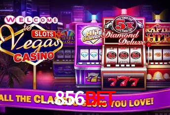 856bet Salvador - Statistics