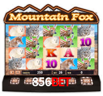Sinta a adrenalina dos jogos de cassino com 856bet
