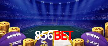 Programa VIP 856bet