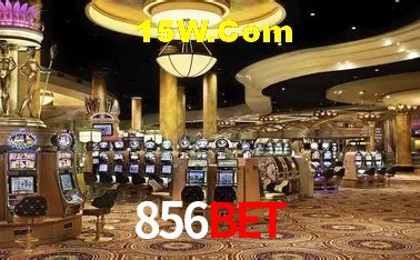 Casino Ao Vivo 856bet