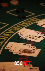 856bet Brasília - Bonus Features