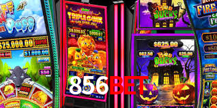 856bet,856bet.com